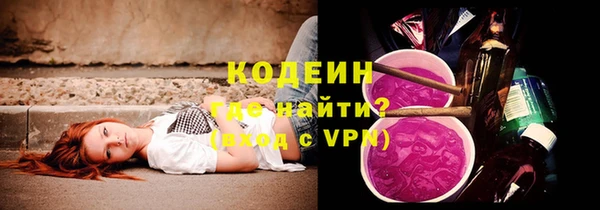 молекула духа Пересвет