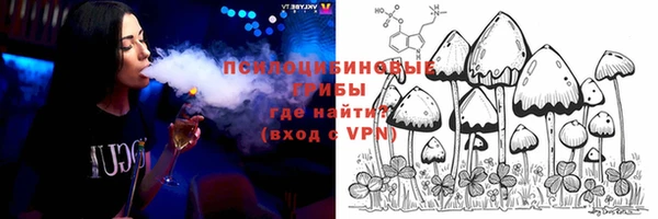 молекула духа Пересвет