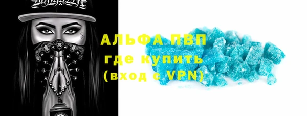 молекула духа Пересвет