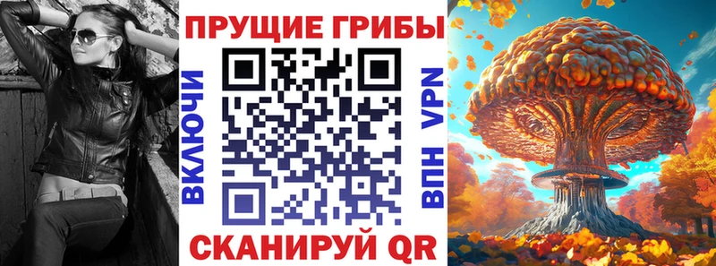 купить  цена  KRAKEN tor  Галлюциногенные грибы ЛСД  Бабаево 