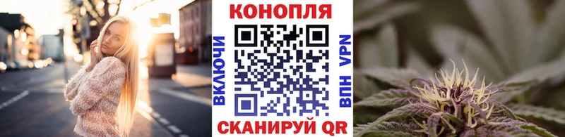 сайты даркнета официальный сайт  гидра вход  Бабаево  МАРИХУАНА сатива 